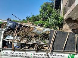 Best Retail Junk Removal  in Georgetown, DE